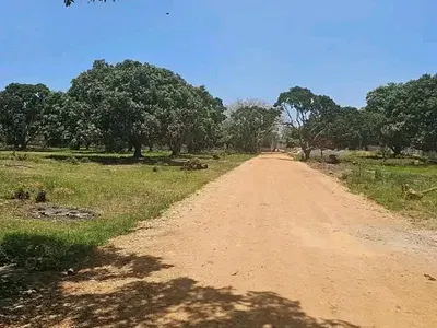 Vipingo quarter-acre plots - listing photo 3