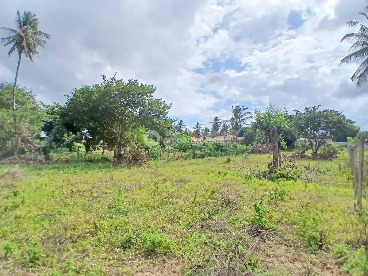 Madzayo half-acre plot - photo from Edgestone Real Estate