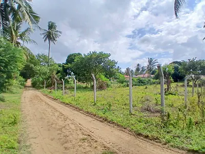 Madzayo half-acre plot - listing photo 2