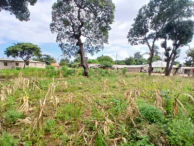 Majengo Barani plot - photo from Edgestone Real Estate