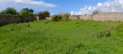 Jumba Ruins half-acre plot - listing photo 4