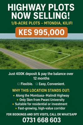 Mtondia highway plots - photo from Millykim Investment